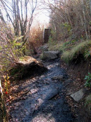 Trail up Sam Knob  Taken 10-22-2014
