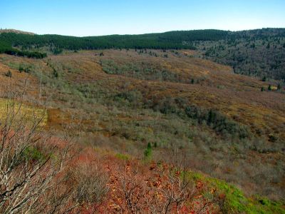 View from Sam Knob Taken 10-22-2014
