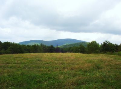 Unaka_summit_from_Beuaty_Spot_8-09.jpg