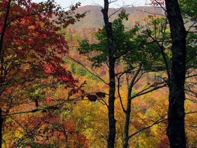 6479_ridge_view_colors.jpg