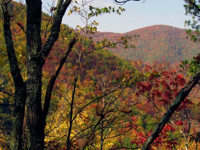 6490_ridge_view_colors.jpg