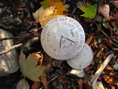6497_survey_marker.jpg