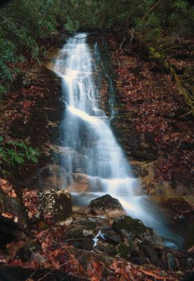 Taken 11-21-2015 (Larry has named these Diane`s Falls after a friend of his) 
