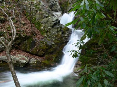 Upper Devils Creek Falls
Photo by Dave Aldridge 12-10-2011
