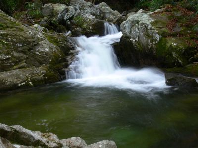 Cascades on Devils Creek
Photo by Dave Aldridge 12-10-2011
