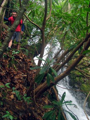Tyler doing some extreme climbing at a waterfall deep in the Sampson Mtn Wilderness area. 
