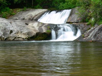 Photo by Dave Aldridge  6-7-2012
