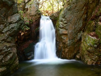 Photo by Dave Aldridge Taken 3-10-2012
