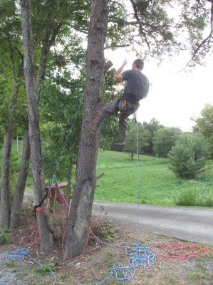 Tyler on the rope taking down trees. 
