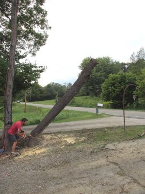 Tyler makes the final cut. 
