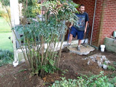 Tyler helping me to dig out an old gutter drain to replace with new plastic pipe. 
