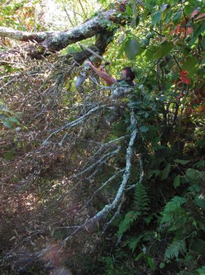 Tyler sawing a path through a blow down on my section of the Appalachian Trail. 
