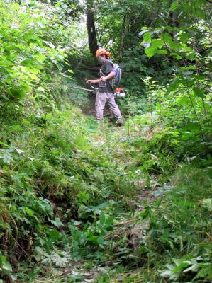 Tyler weed eating on my section of the Appalachian Trail. 
