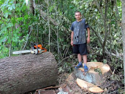 Tyler on a recently cut Oak tree while working for a neighbor. 
