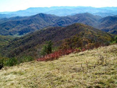 Big Bald
Taken on a work trip 10-20-2009
