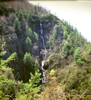 Buckeye Falls
Photo courtesy of Peter Montanti  (Mountain Photographics, Inc.)
