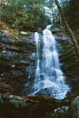 Sill Branch Falls (lower)
4-2009
