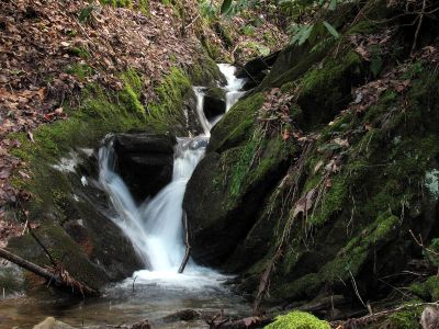  Cascades found above Birchfield Camp Branch Falls Taken 2-3-2012
