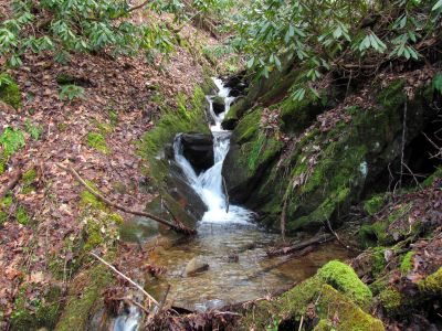  Cascades found above Birchfield Camp Branch Falls Taken 2-3-2012
