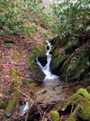  Cascades found above Birchfield Camp Branch Falls Taken 2-3-2012
