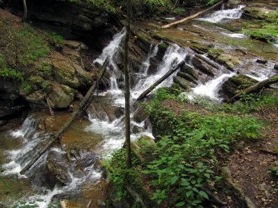 Cascades found above Abrams Falls  Taken 9-16-2011
