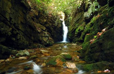 Lower Bailey Falls (taken 10-27-2017) 
