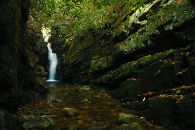 Lower Bailey Falls (taken 10-27-2017) 
