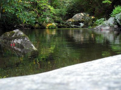 Taken September 2012
