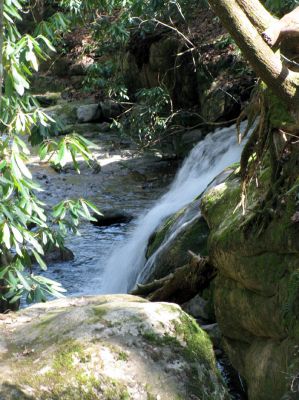 Blue Hole Falls
Taken 4-4-2010
