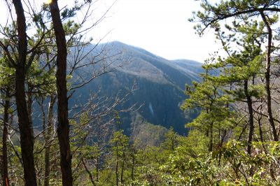 Taken from Chigger Ridge 1-29-2013
