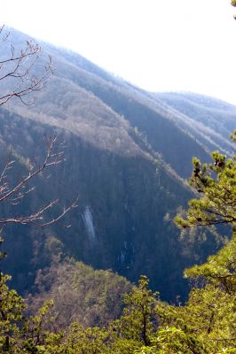 Taken from Chigger Ridge 1-29-2013
