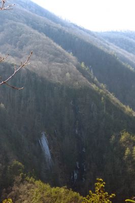 Taken from Chigger Ridge 1-29-2013
