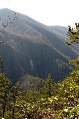 Taken from Chigger Ridge 1-29-2013
