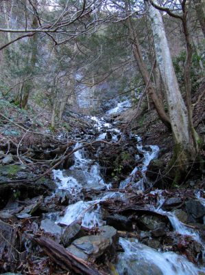 Photo by RAT 2-26-2011
