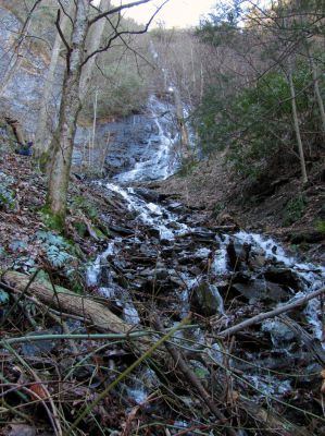 Photo by RAT 2-26-2011
