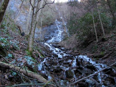 Photo by RAT 2-26-2011
