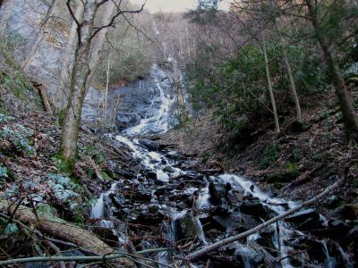 Photo by RAT 2-26-2011
