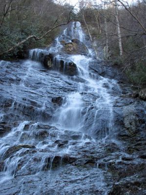 Photo by RAT 2-26-2011
