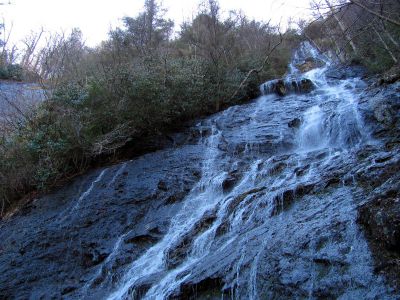 Photo by RAT 2-26-2011
