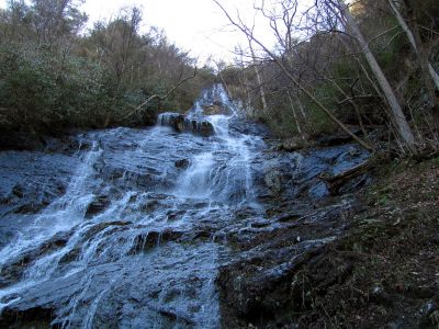 Photo by RAT 2-26-2011
