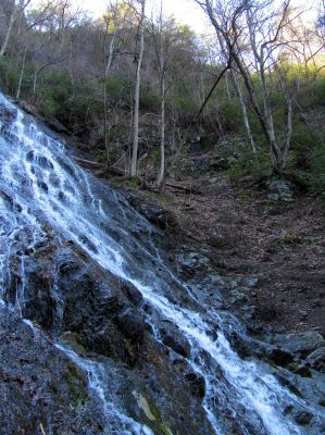 Photo by RAT 2-26-2011
