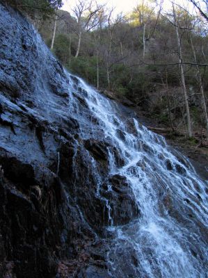 Photo by RAT 2-26-2011
