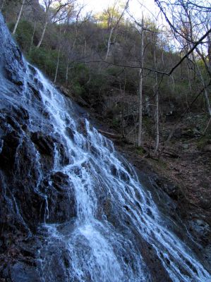 Photo by RAT 2-26-2011
