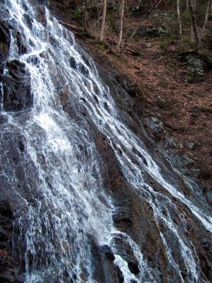 Photo by RAT 2-26-2011
