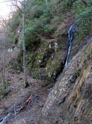 Photo by RAT 2-26-2011
