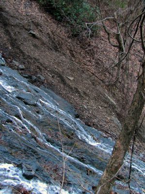 Photo by RAT 2-26-2011
