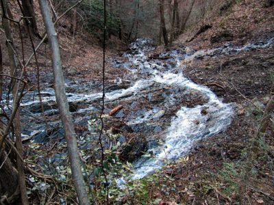 Photo by RAT 2-26-2011
