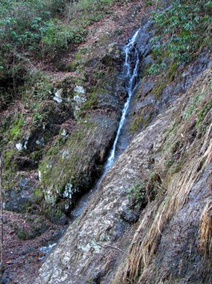 Photo by RAT 2-26-2011
