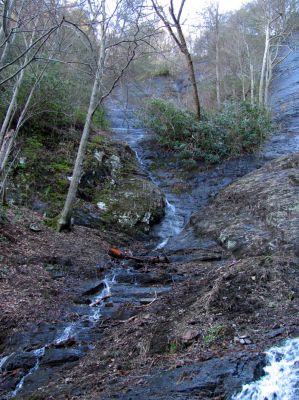 Photo by RAT 2-26-2011
