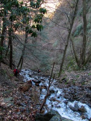 Photo by RAT 2-26-2011
